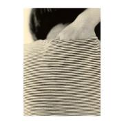 Paper Collective Striped Shirt plakat 30x40 cm