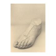Paper Collective The Foot plakat 30x40 cm