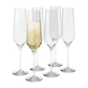 Eva Solo Legio Nova champagneglas 26 cl 6-pak