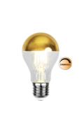 Globen Lighting Lyskilde LED 352-95 topreflekteret dæmpbar E27 Guld