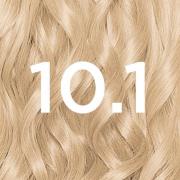 Garnier Nutrisse Permanent Hair Dye (forskellige nuancer) - 10.1 Ice B...