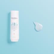 Goldwell Dualsenses Scalp Specialist Anti-Dandruff Shampoo 250ml