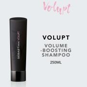 Sebastian Professional Volupt Shampoo 250ml