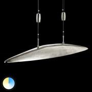 Shine LED-pendellampe, justerbar lysfarve