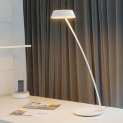 OLIGO Glance LED-bordlampe buet, mat hvid