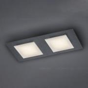 BANKAMP Ino LED-loftlampe, 2 lyskilder, antracit