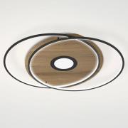Paul Neuhaus Q-AMIRA LED-loftlampe, oval, brun