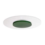 Zaniah LED-loftslampe, 360° lys, 24W, grøn