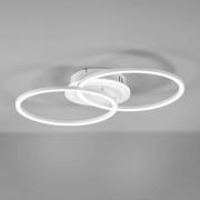 Venida LED-loftlampe i ring-design, hvid