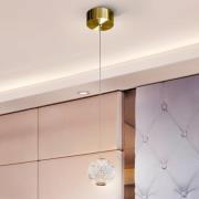 Austral LED-hængelampe, guld/klar, 1 lyskilde