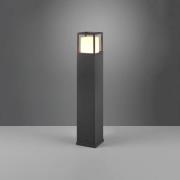 LED-gadelampe Witham, 80 cm høj, antracit, CCT, IP54