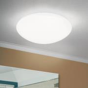 LED-loftslampe Nedo buet, Ø 25 cm