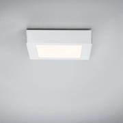 Paulmann Lunar LED-panel, kantet, hvidt, 17x17 cm