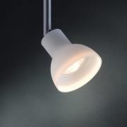 Paulmann Juwel LED-reflektorpære GU5,3 3 W