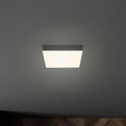 Flame LED-loftslampe, 15,7 x 15,7 cm, sort