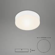 Flame LED-loftslampe, Ø 15,7 cm, hvid