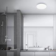 LED-loftslampe Case til badeværelset IP44 3.000K Ø 28cm