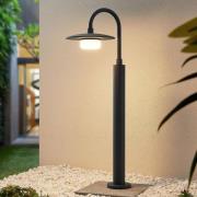 Lucande Zamalino vejlampe