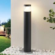 Lucande LED-pullert Darja, antracit, metal, 100 cm, IP54