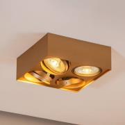 Loftspot Riesta, guld, 4 lyskilder