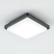 EVN LED udendørs loftlampe Tectum, 23x23 cm, antracit, 150°
