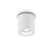 Helestra Lot udendørs loftlampe, IP65, hvid