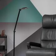 Schöner Wohnen Office LED-gulvlampe, matsort