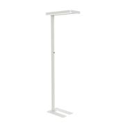 LED-gulvlampe MAULjaval, hvid, 196 cm, dæmpbar, fod