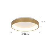 Ringlede LED loftlampe, guld, højde 6 cm, Ø 28 cm