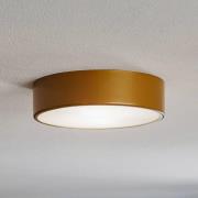 Cleo 300 loftlampe, sensor, Ø 30 cm, guld