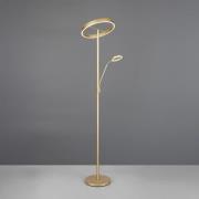 Willis LED-gulvlampe, guld, højde 180 cm, metal, CCT, dæmper