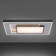 Paul Neuhaus Q-Alta LED-loftlampe, 100 x 55 cm