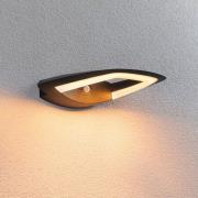 Paulmann udendørs LED-væglampe Akena, 2.200 K, antracit