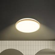 LED-loftlampe Acorus, Ø 33 cm, hvid/træfarvet, IP44