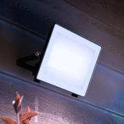 Philips udendørs LED-spot Lois UE flood, 24 W, 5.000 K, IP65