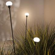 Karman LED-lampe med jordspyd MINUIT, højde 210 cm, sort, IP65