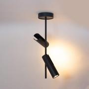 Loftspot Leda 2, antracit, 2 lyskilder, stål, højde 55 cm