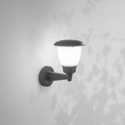 Udendørs væglampe Thiago, mørkegrå, metal, 20 cm, E27, IP54