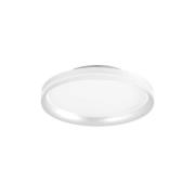 LED-loftlampe Isy, hvid, Ø 35 cm, metal, CCT, dæmpbar