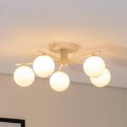 Prato loftlampe, creme, glas, 5 lyskilder