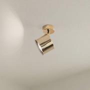 Loftspot Chloe, drejelig, 1 lyskilde, messingfarvet stål