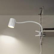 OSRAM klemmelampe Office Line Desk Trapezium Clip hvid GU10