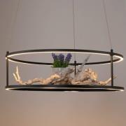 Paul Neuhaus LED-pendellampe Contura, sort, Ø 50 cm