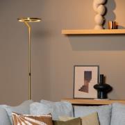LED-gulvlampe Celeste guld-/messingfarvet Højde 174 cm Metal