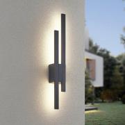 udendørs LED-væglampe TAWA, antracit, 62 cm metal 2 lyskilder. IP54