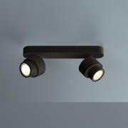 LED-spot BRUSH, sort, 30 cm, 2 lyskilder, dæmpbar, 2.700 K