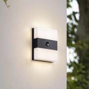 PRIOS udendørs LED-væglampe Teekon, antracit, sensor, IP44