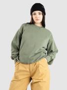 Carhartt WIP Duster Script Sweater grøn