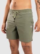 Salty Crew Volley Boardshorts grøn