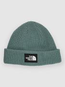 THE NORTH FACE Salty Dog Lined Beanie grøn